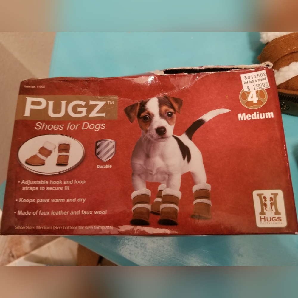 New Shoes for Dogs 🐕
